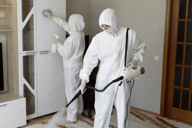 24/7 Emergency Odor Removal experts in Anthony, TX